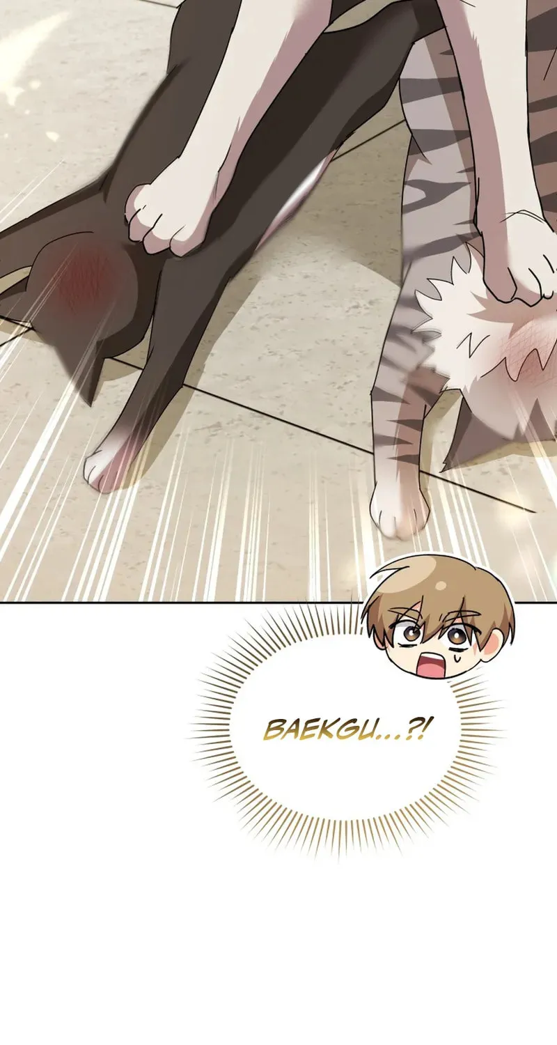 Chapter 117 - Image 5