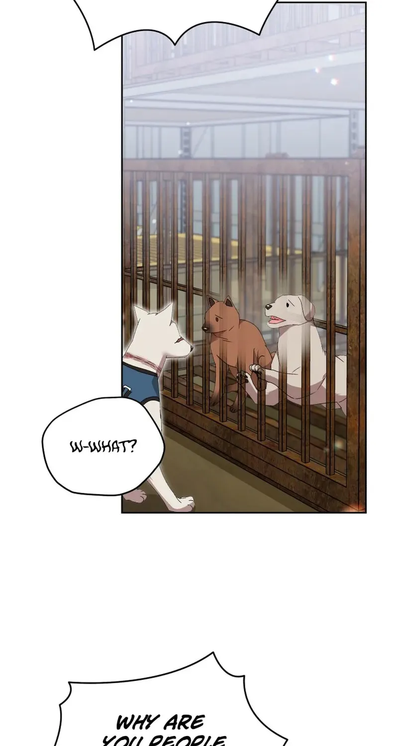 Chapter 118 - Image 41