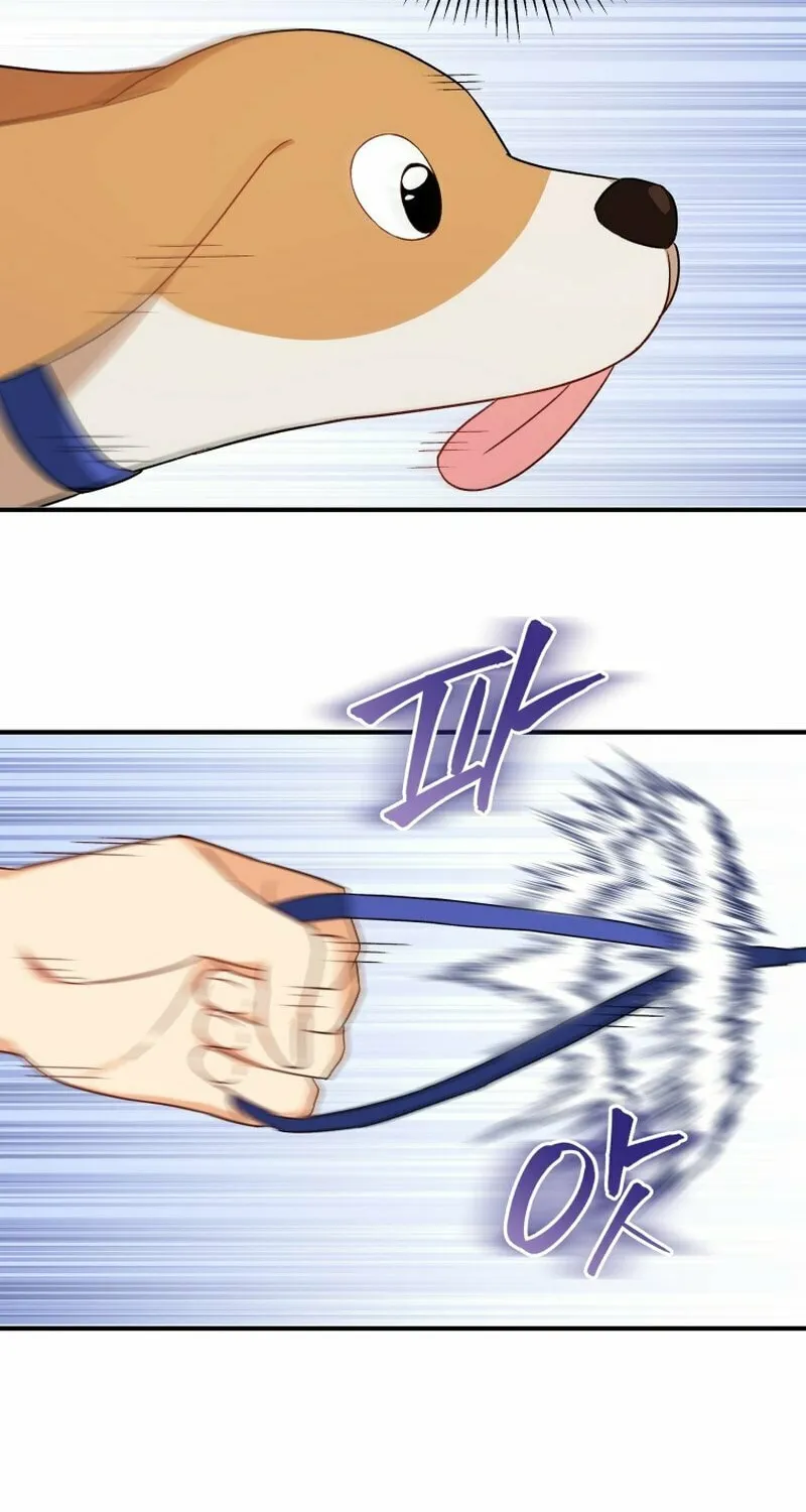 Chapter 12 - Image 54