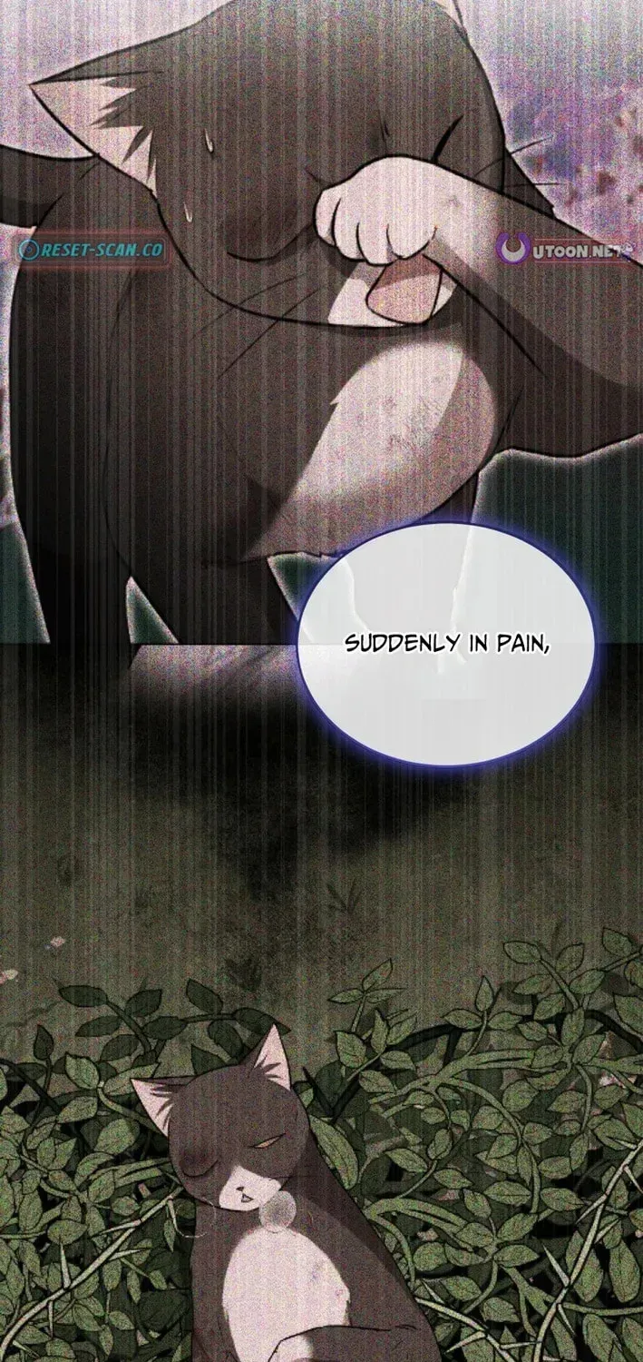 Chapter 126 - Image 10
