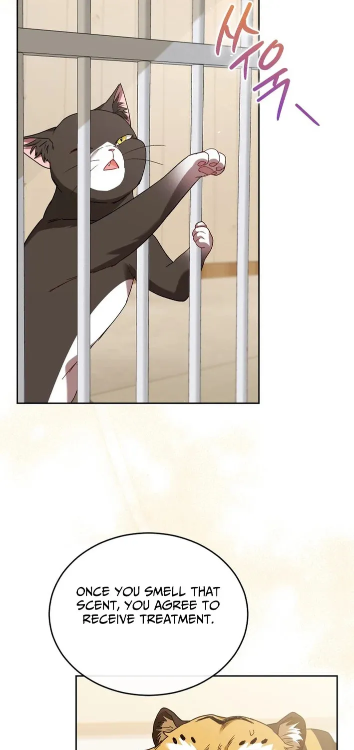 Chapter 126 - Image 29