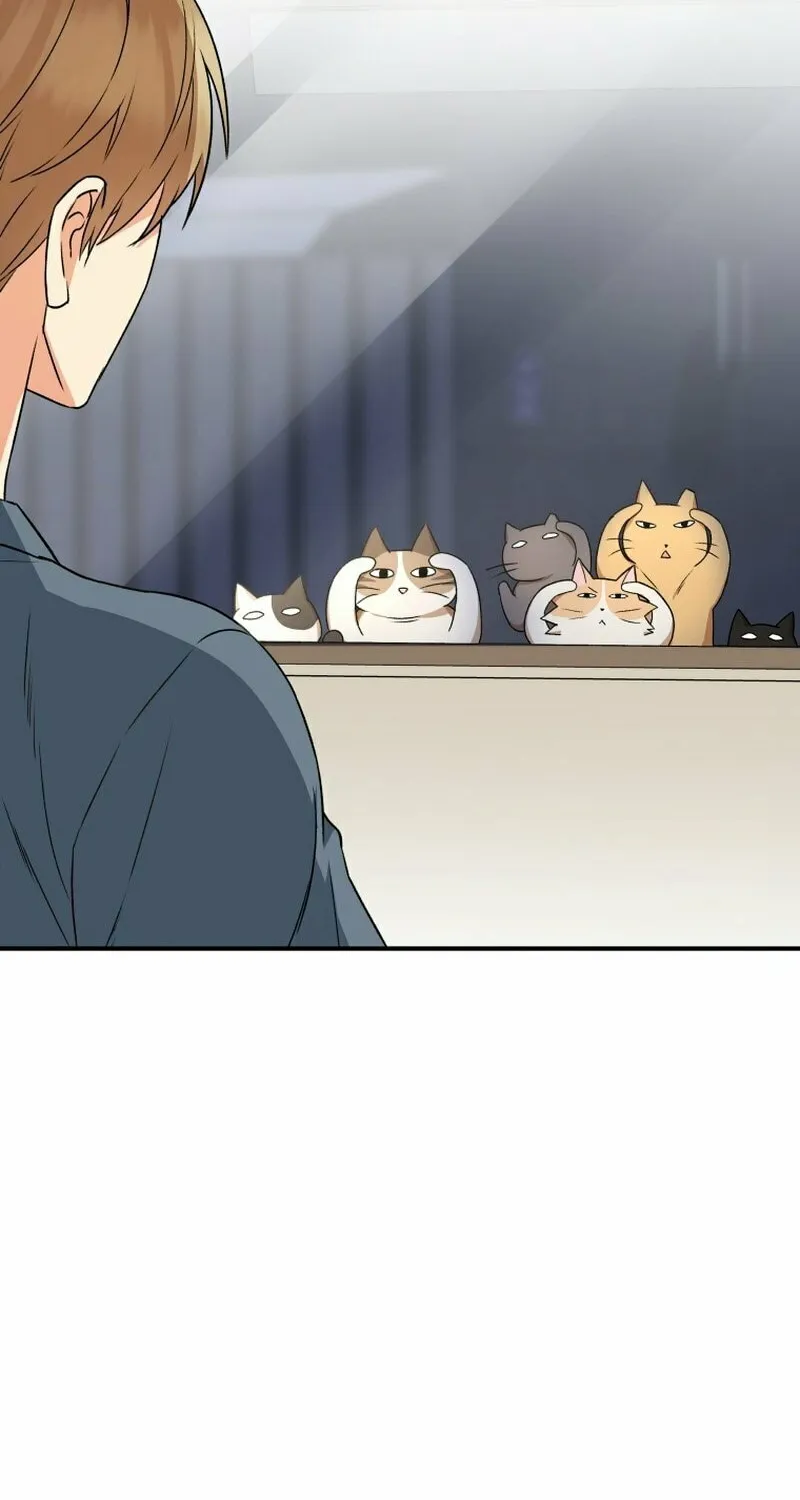 Chapter 14 - Image 43