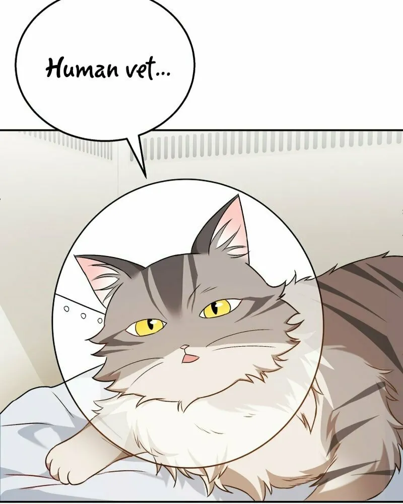 Chapter 14 - Image 75