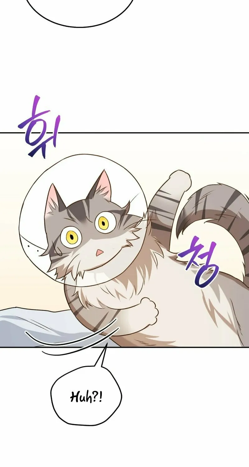 Chapter 14 - Image 77