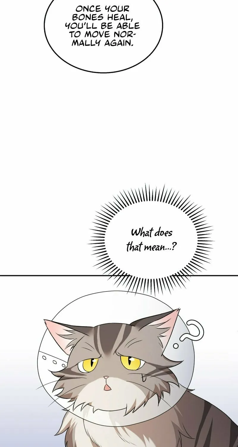 Chapter 14 - Image 79