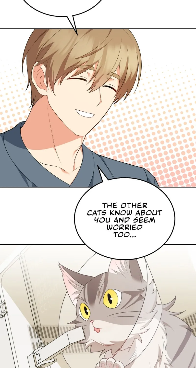 Chapter 15 - Image 13