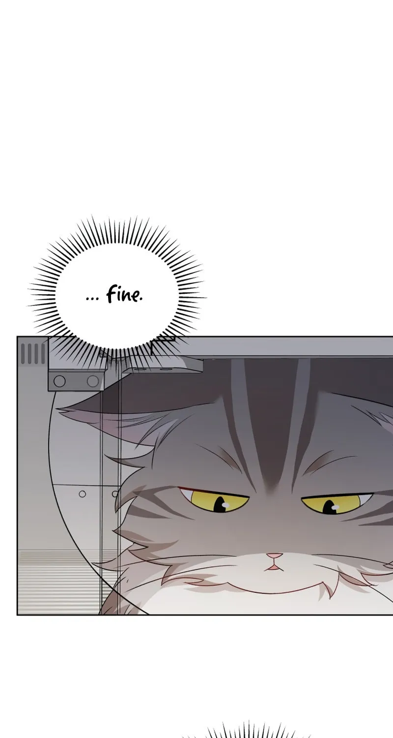 Chapter 15 - Image 17