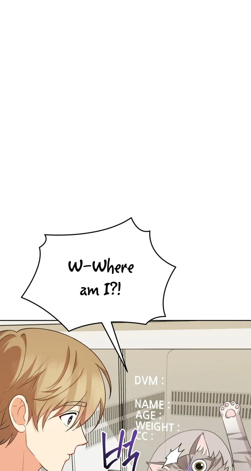 Chapter 15 - Image 2