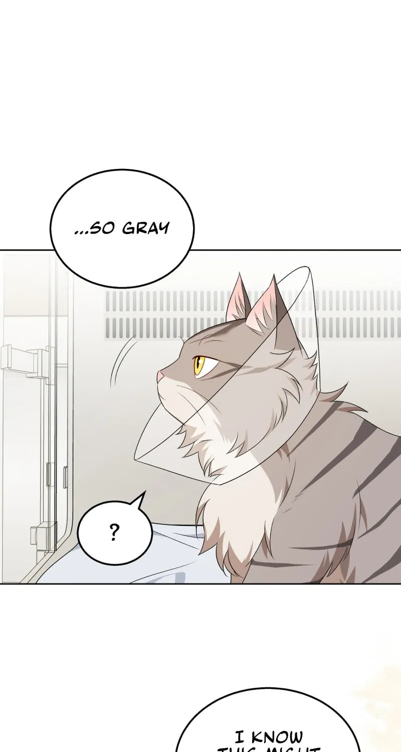 Chapter 15 - Image 23