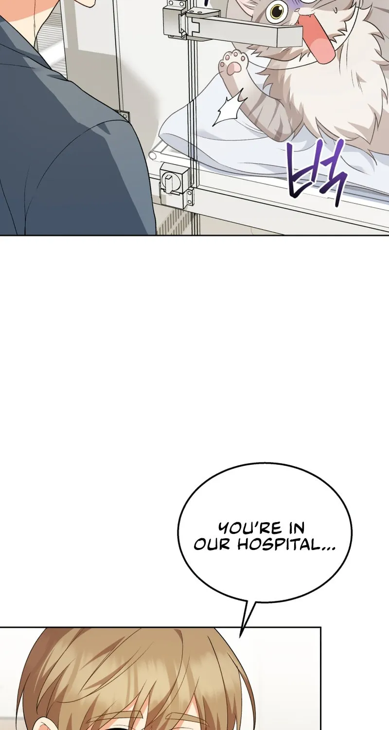 Chapter 15 - Image 3