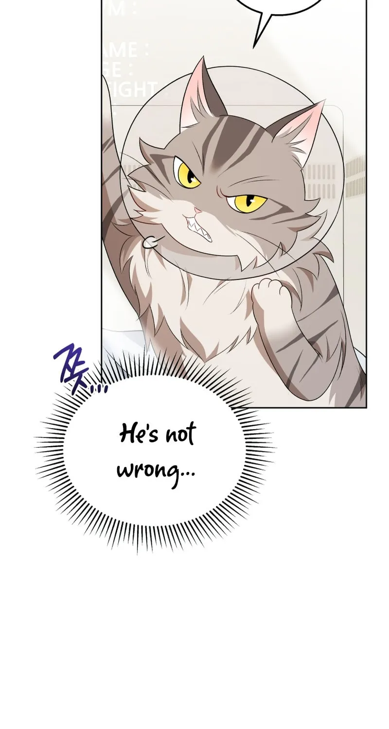 Chapter 15 - Image 33