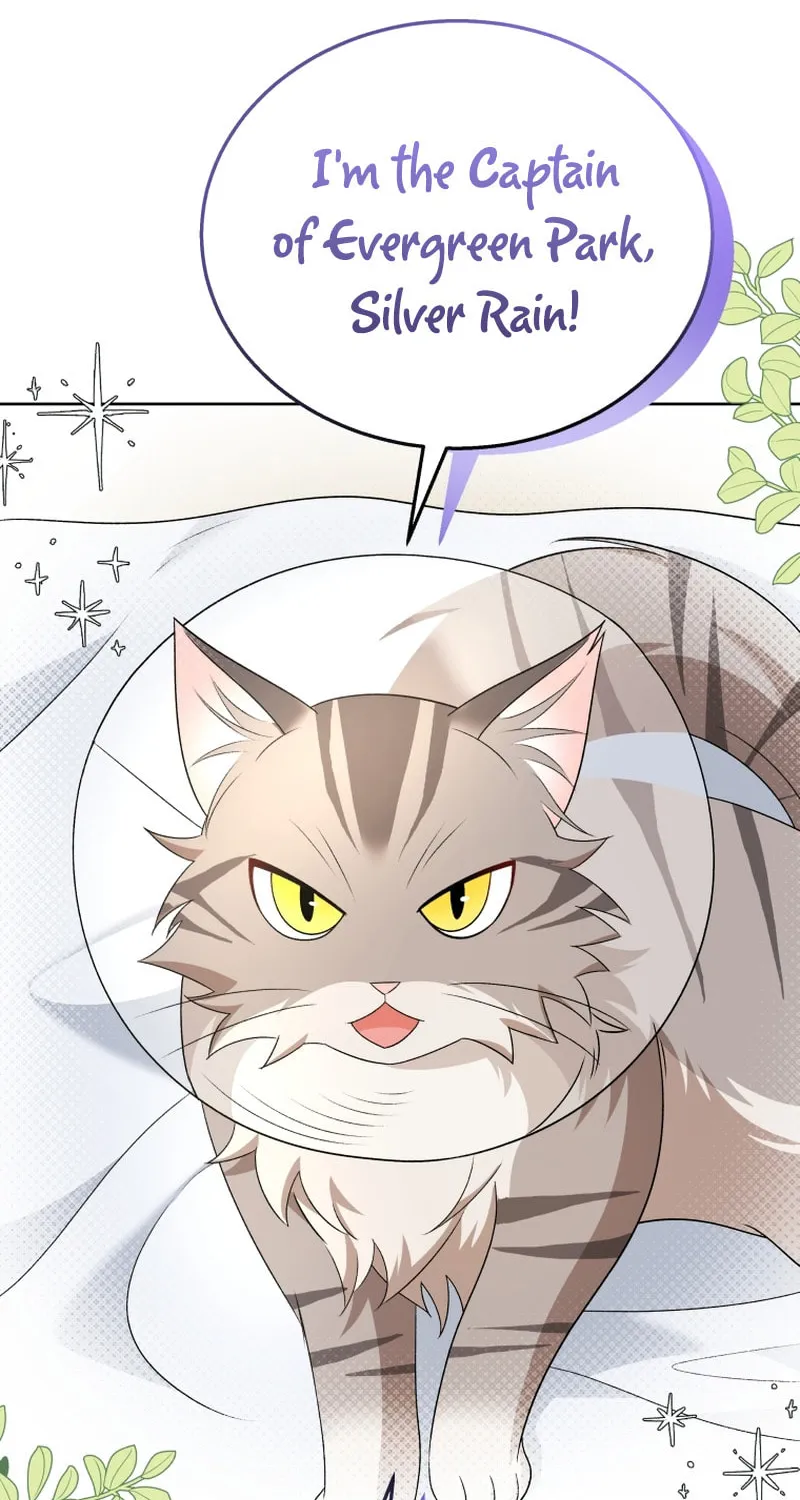 Chapter 15 - Image 38