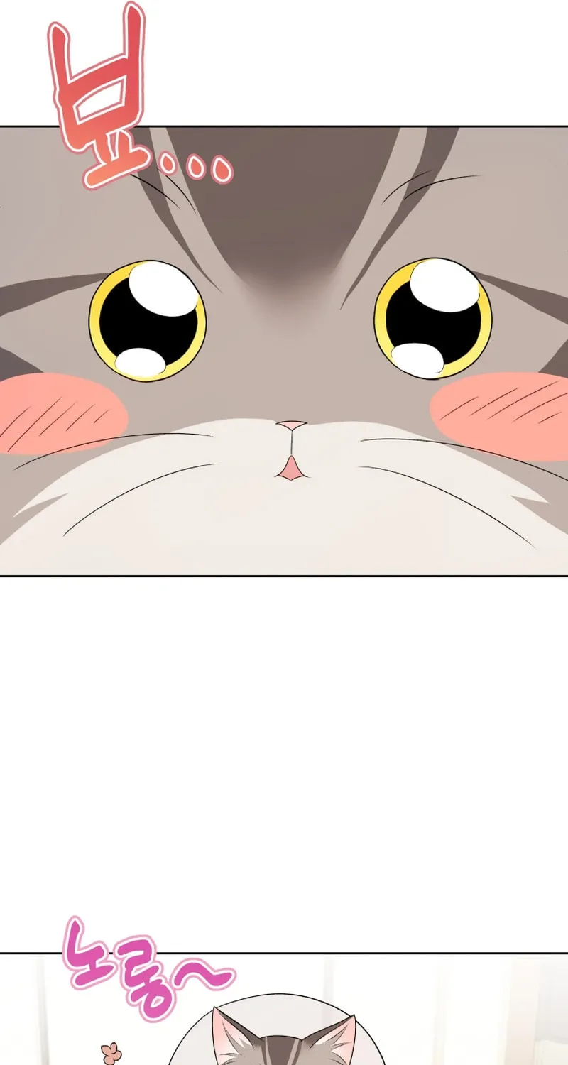 Chapter 15 - Image 44