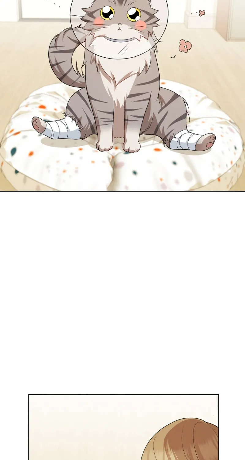 Chapter 15 - Image 45