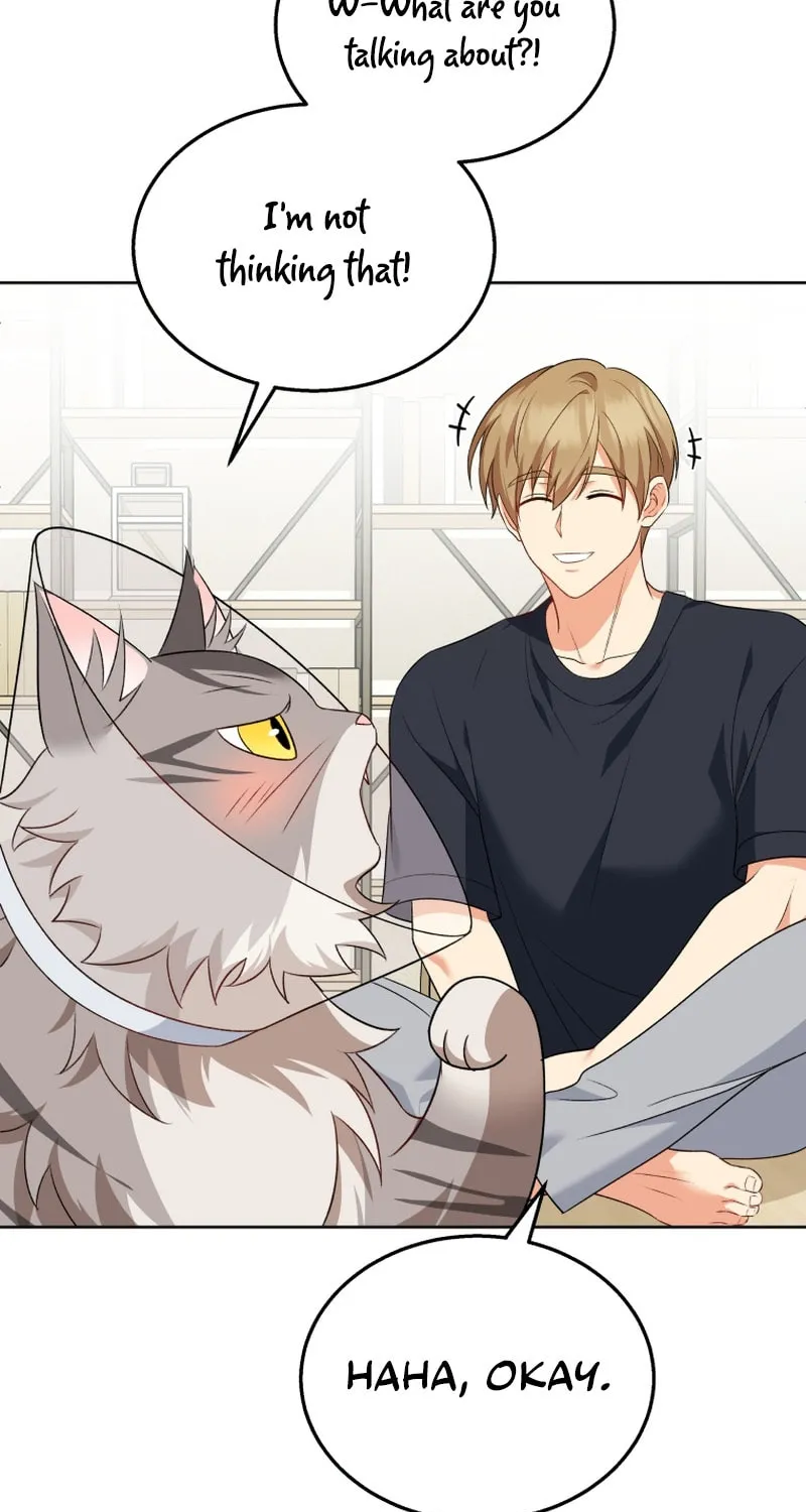 Chapter 15 - Image 48