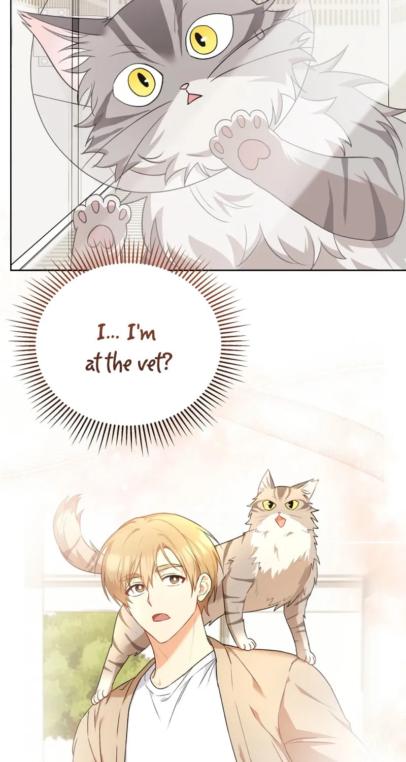 Chapter 15 - Image 5