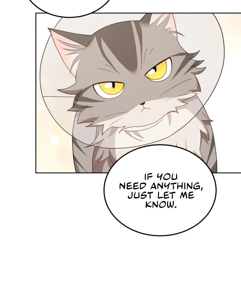 Chapter 15 - Image 50