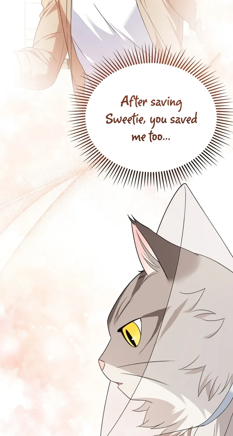 Chapter 15 - Image 6