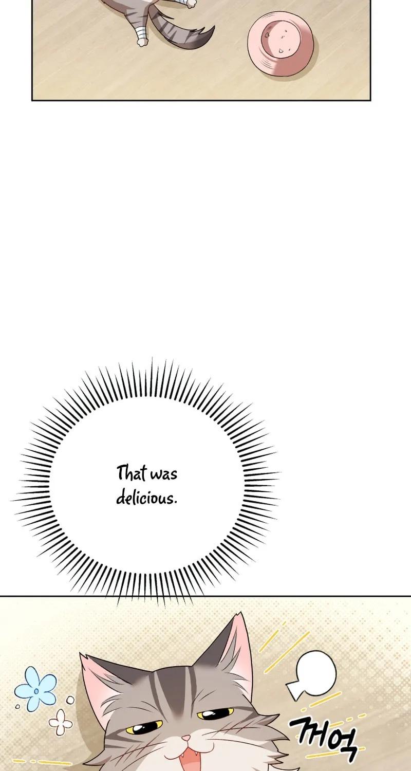 Chapter 15 - Image 67