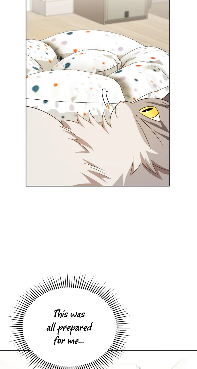 Chapter 15 - Image 69