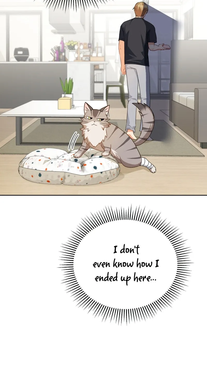 Chapter 15 - Image 70