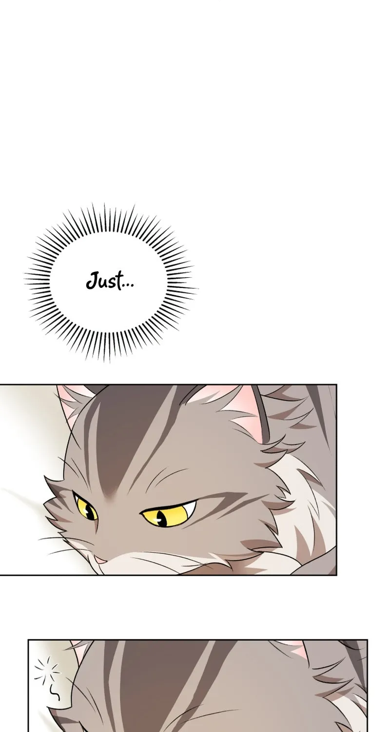 Chapter 15 - Image 73