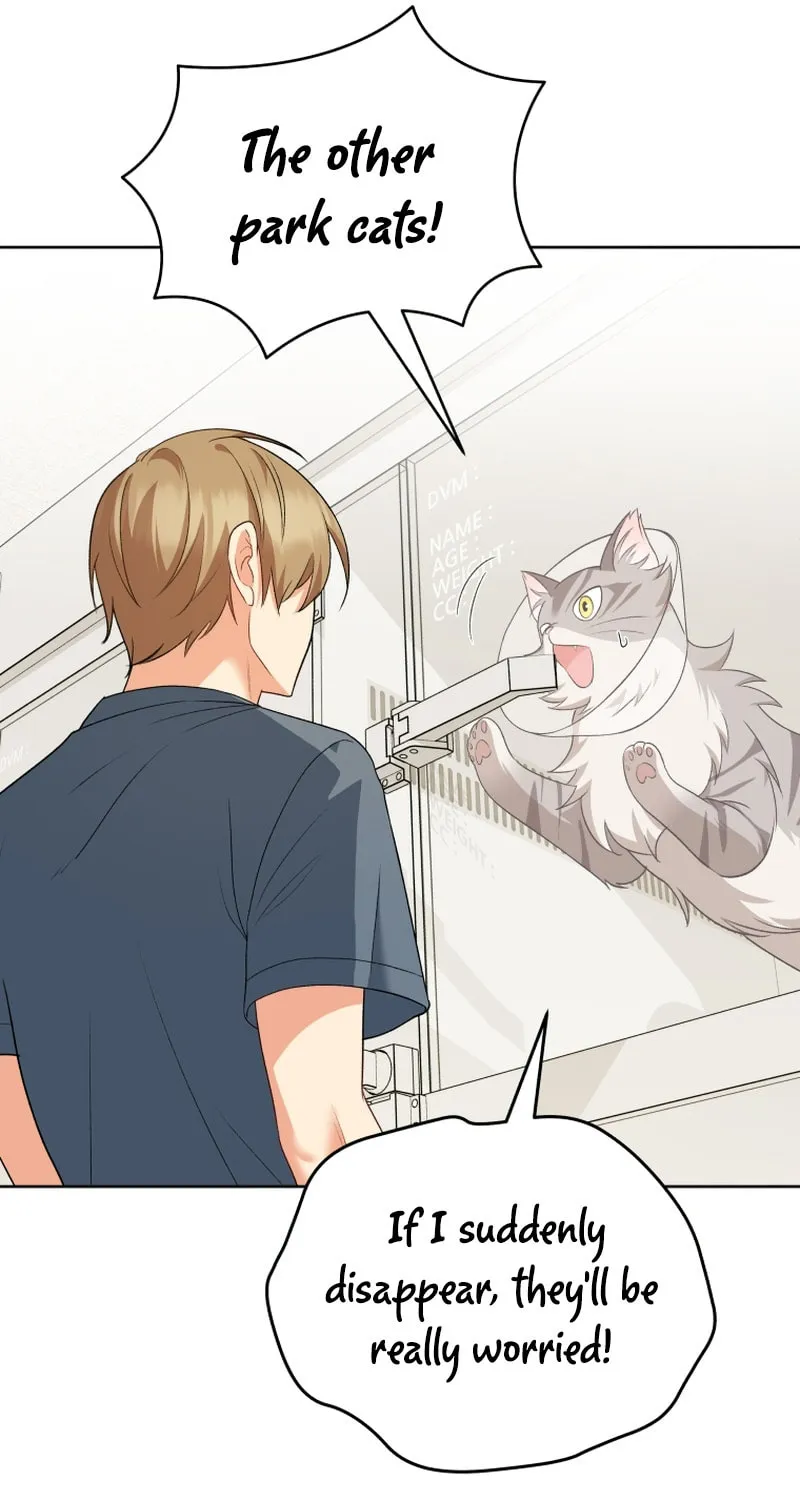 Chapter 15 - Image 9