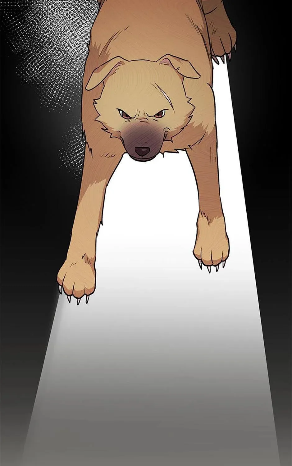 Chapter 17 - Image 21