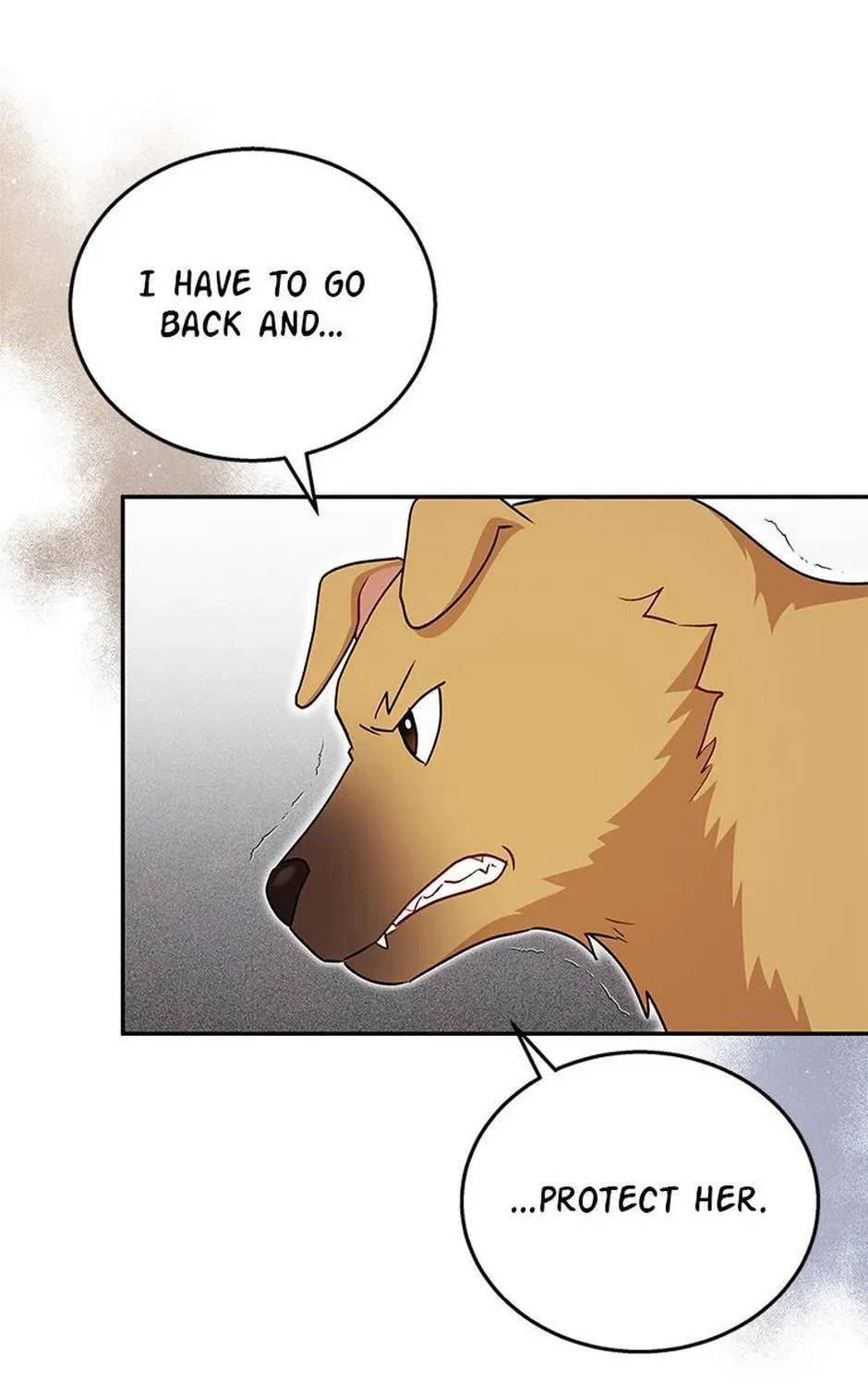 Chapter 19 - Image 28