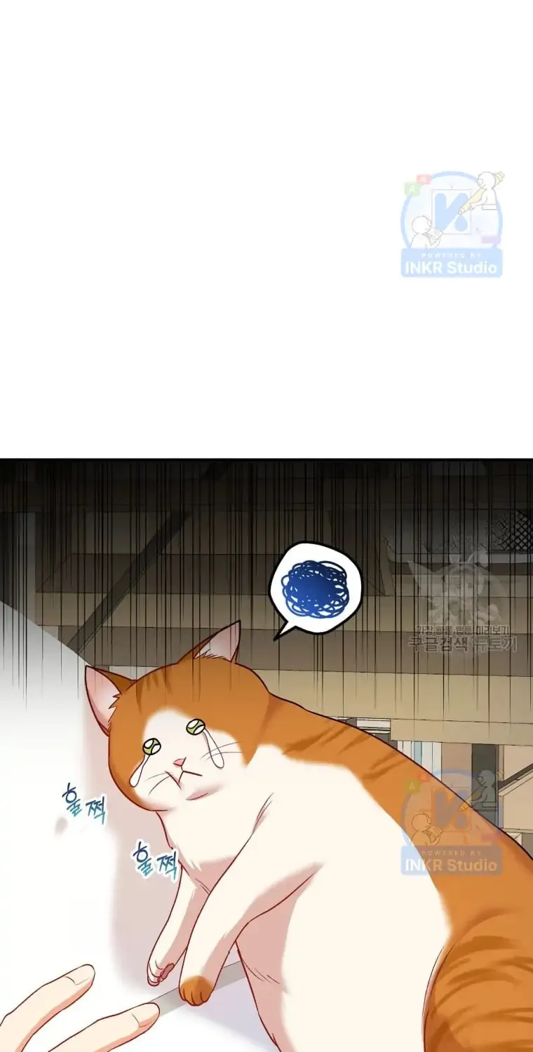 Chapter 2 - Image 21