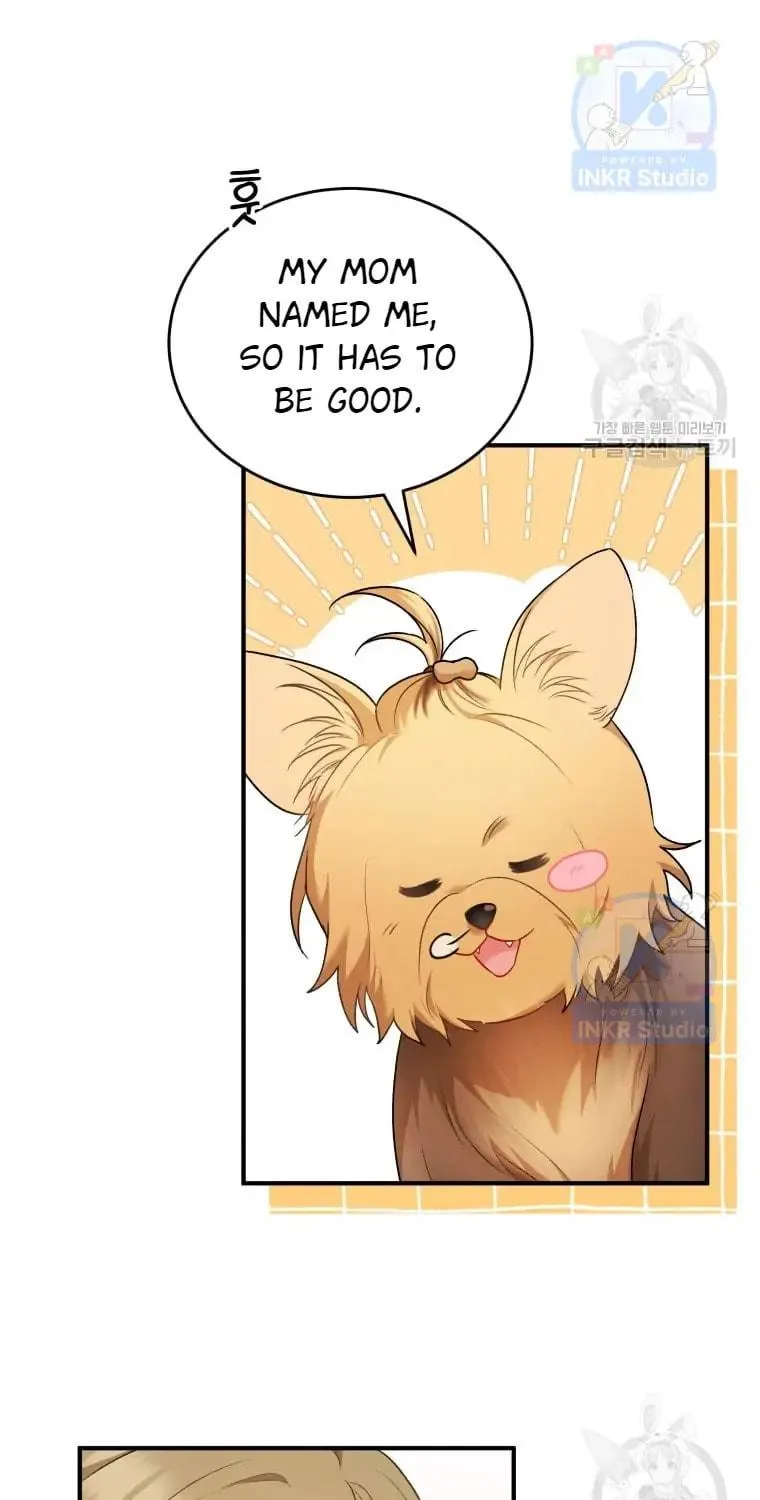 Chapter 2 - Image 54