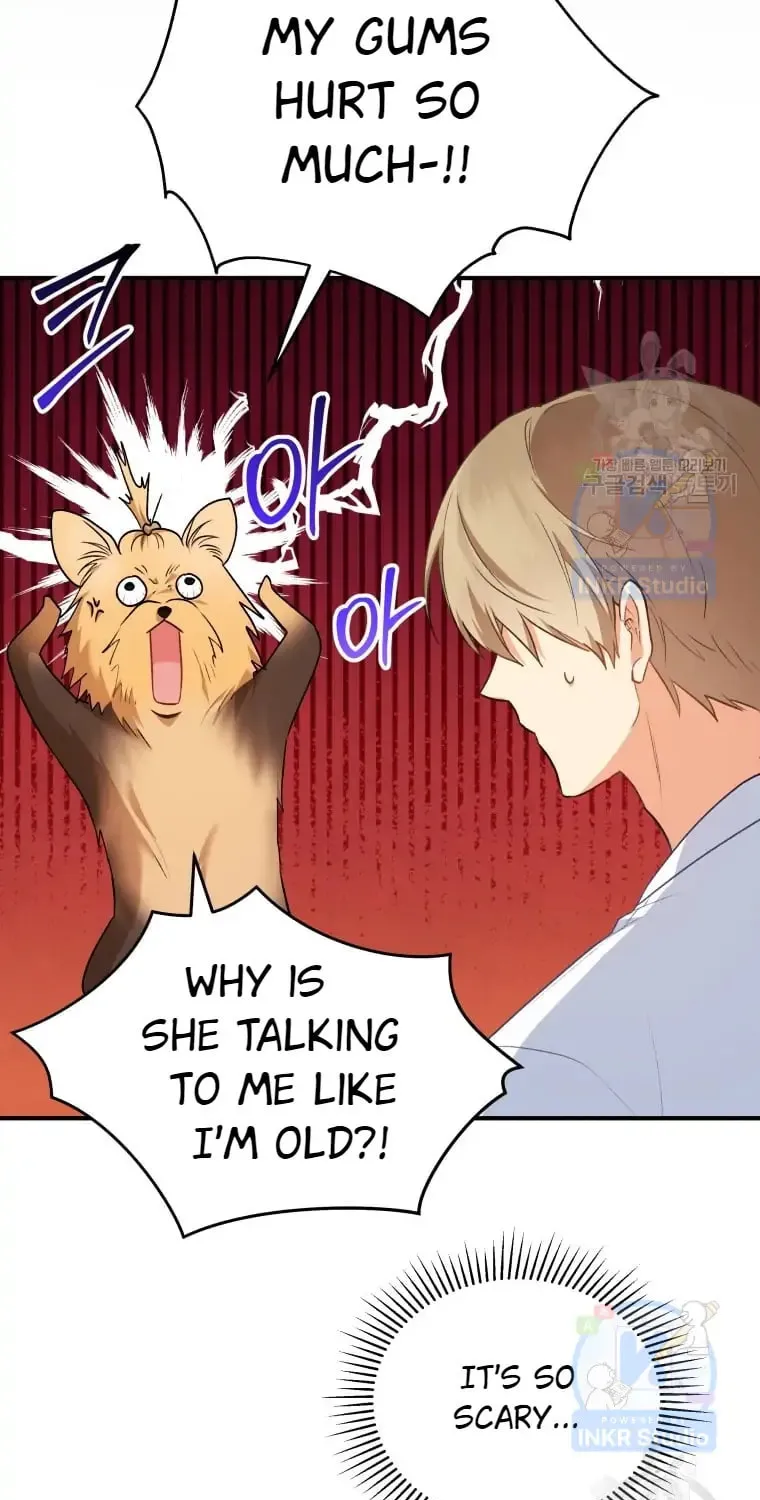 Chapter 2 - Image 63