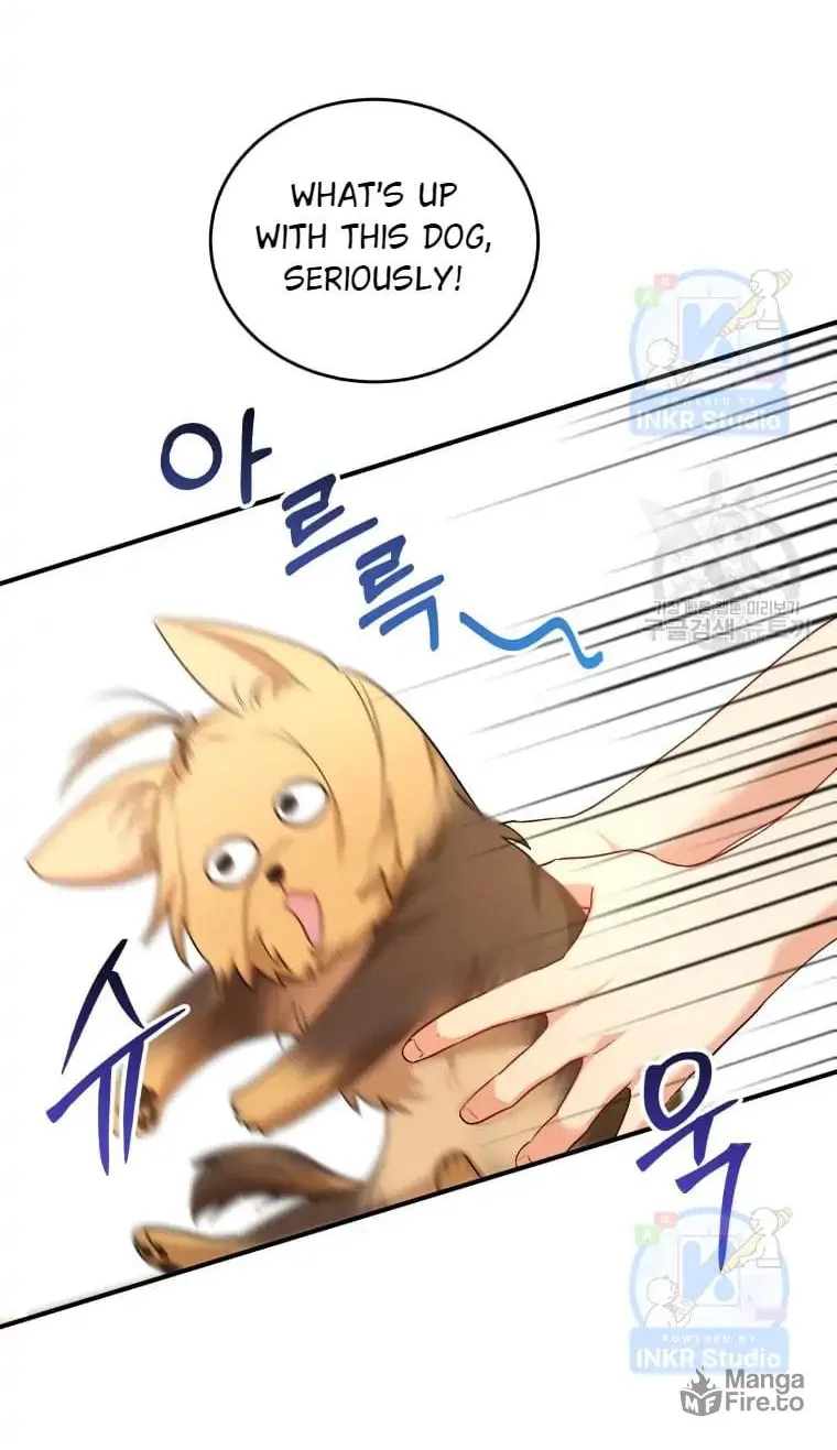 Chapter 2 - Image 66