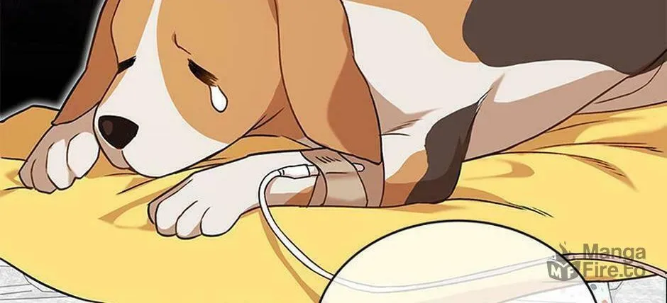 Chapter 20 - Image 24