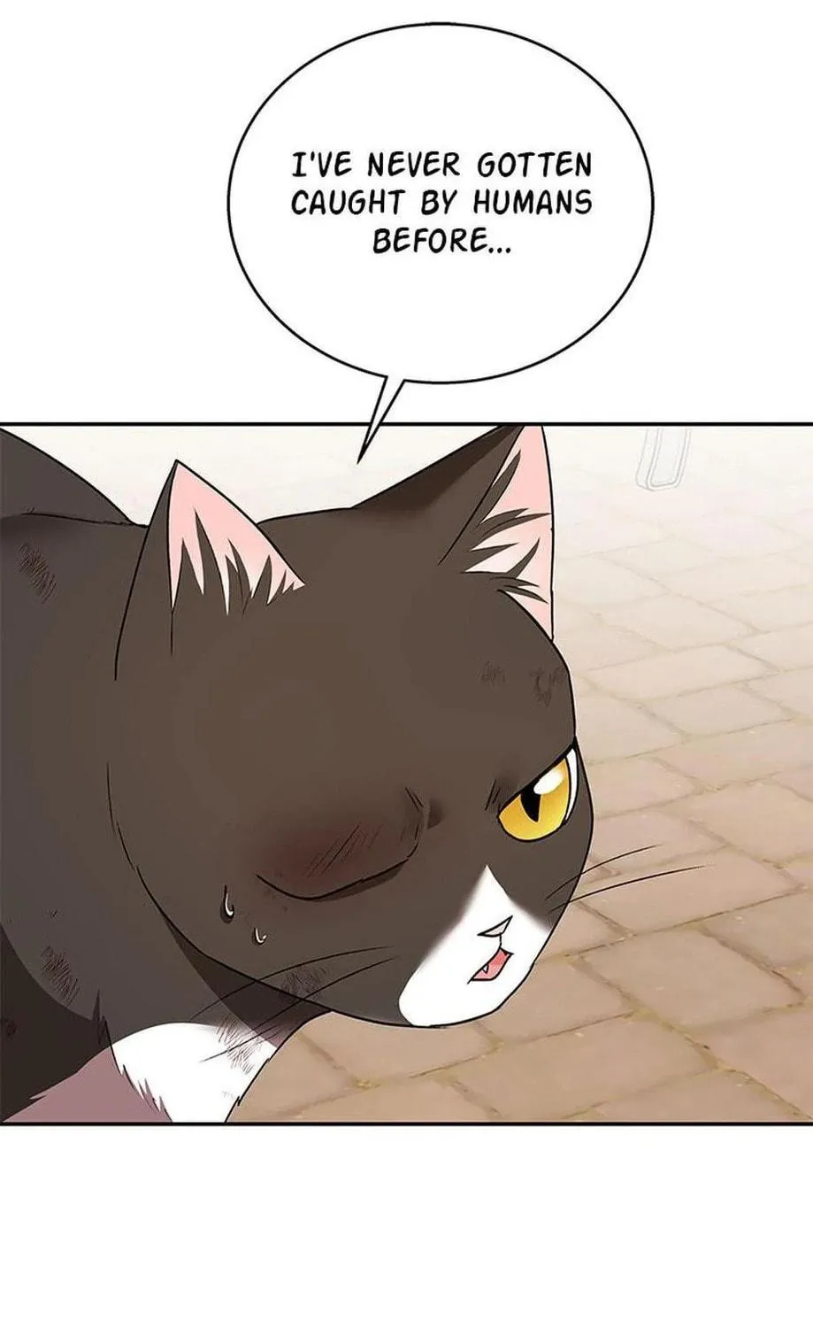 Chapter 27 - Image 17