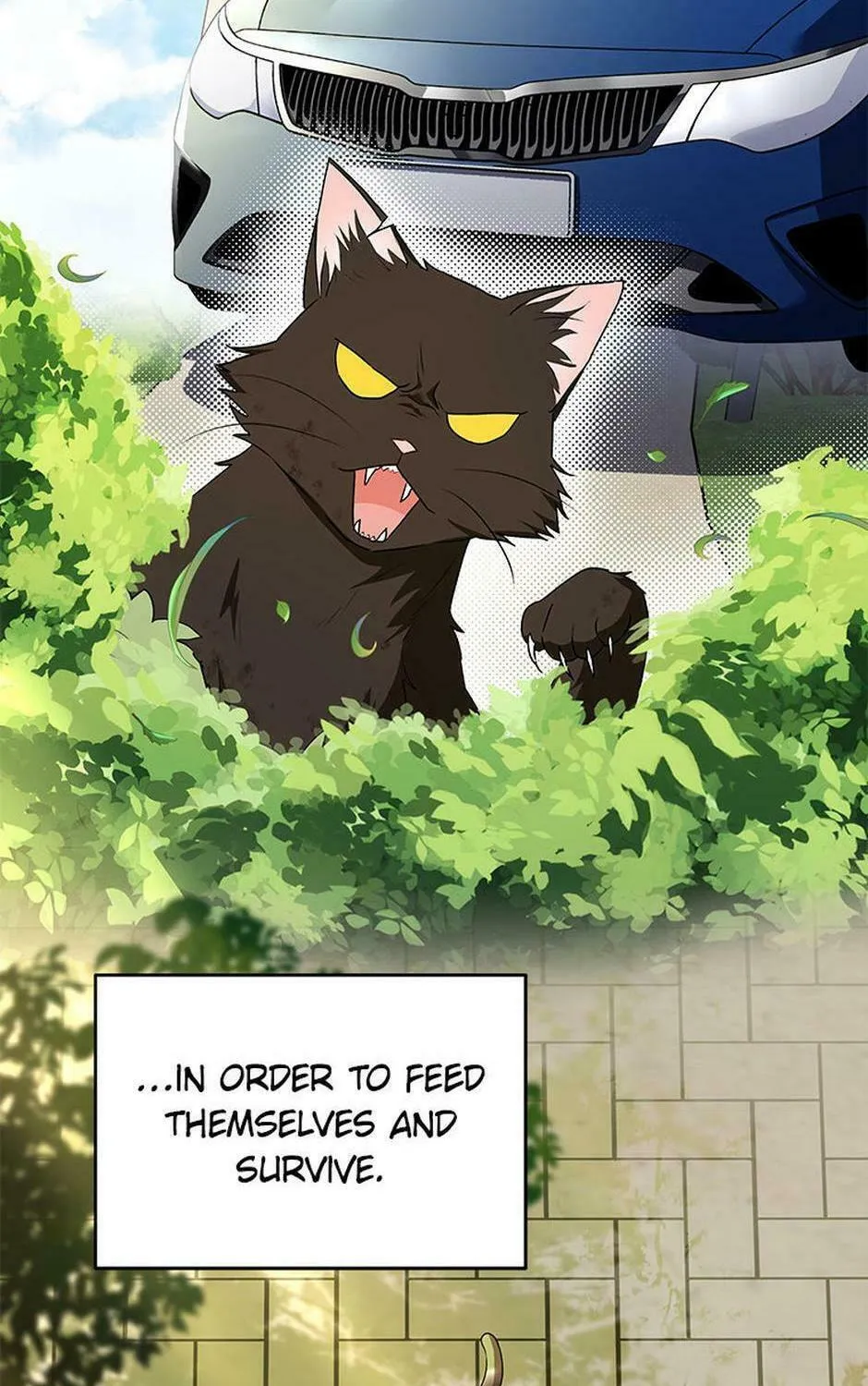 Chapter 27 - Image 3