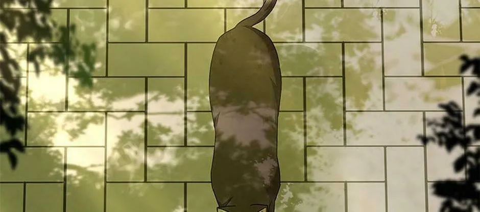 Chapter 27 - Image 4