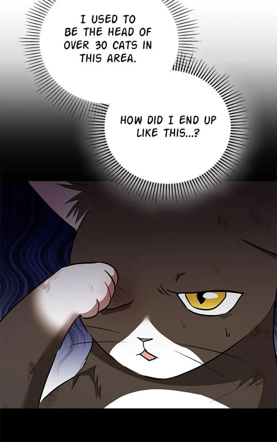 Chapter 27 - Image 91