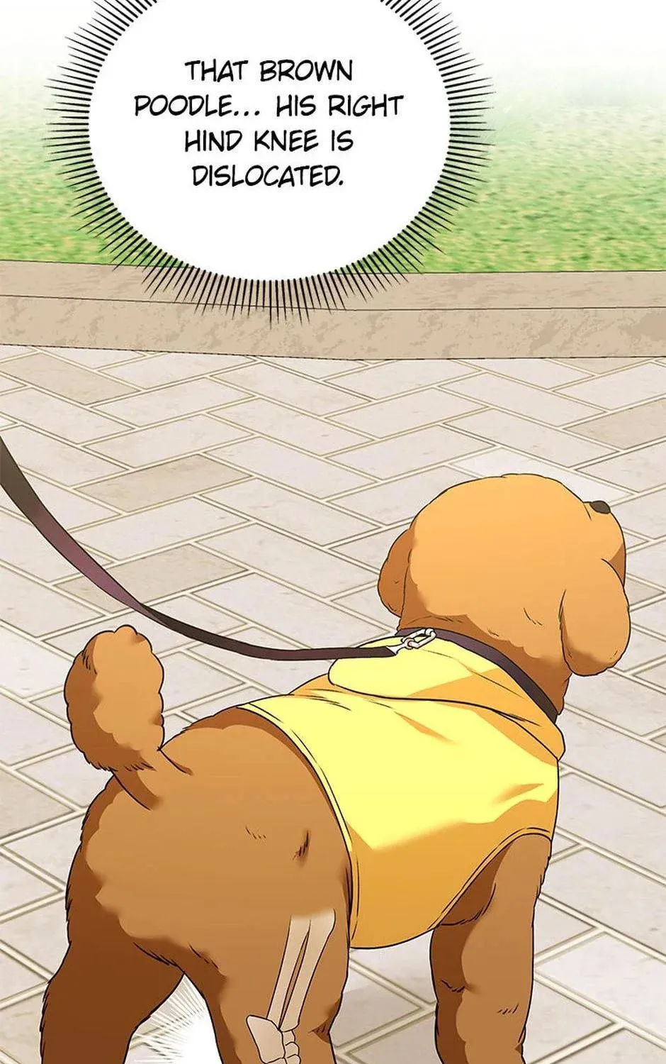 Chapter 31 - Image 43