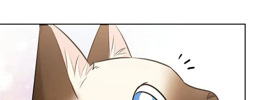 Chapter 33 - Image 74