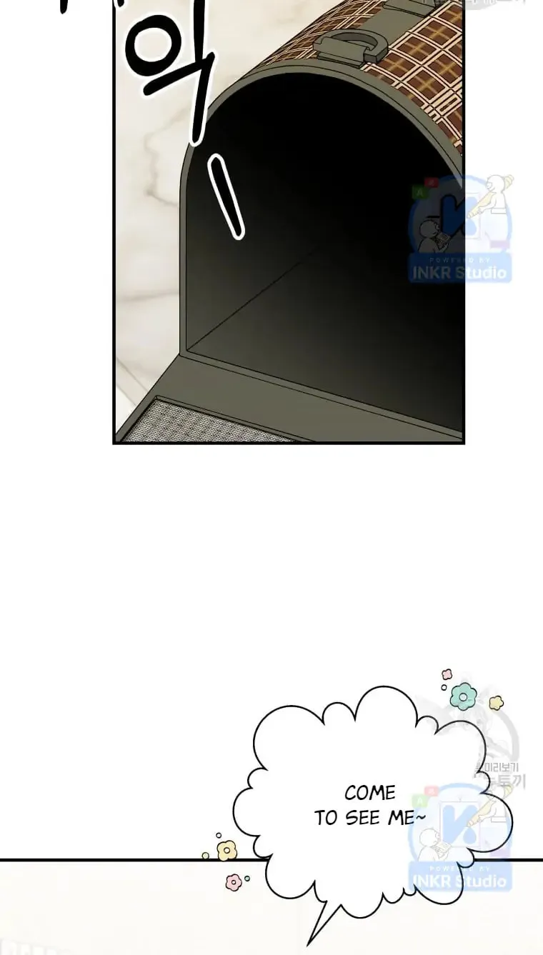 Chapter 4 - Image 34