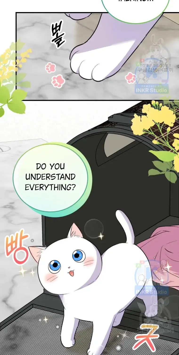 Chapter 4 - Image 48