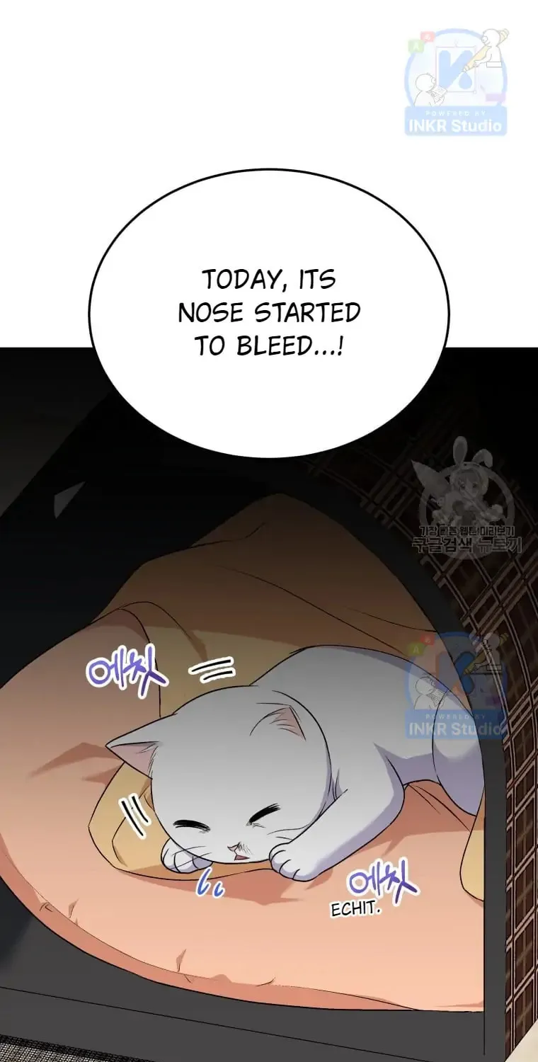 Chapter 5 - Image 14