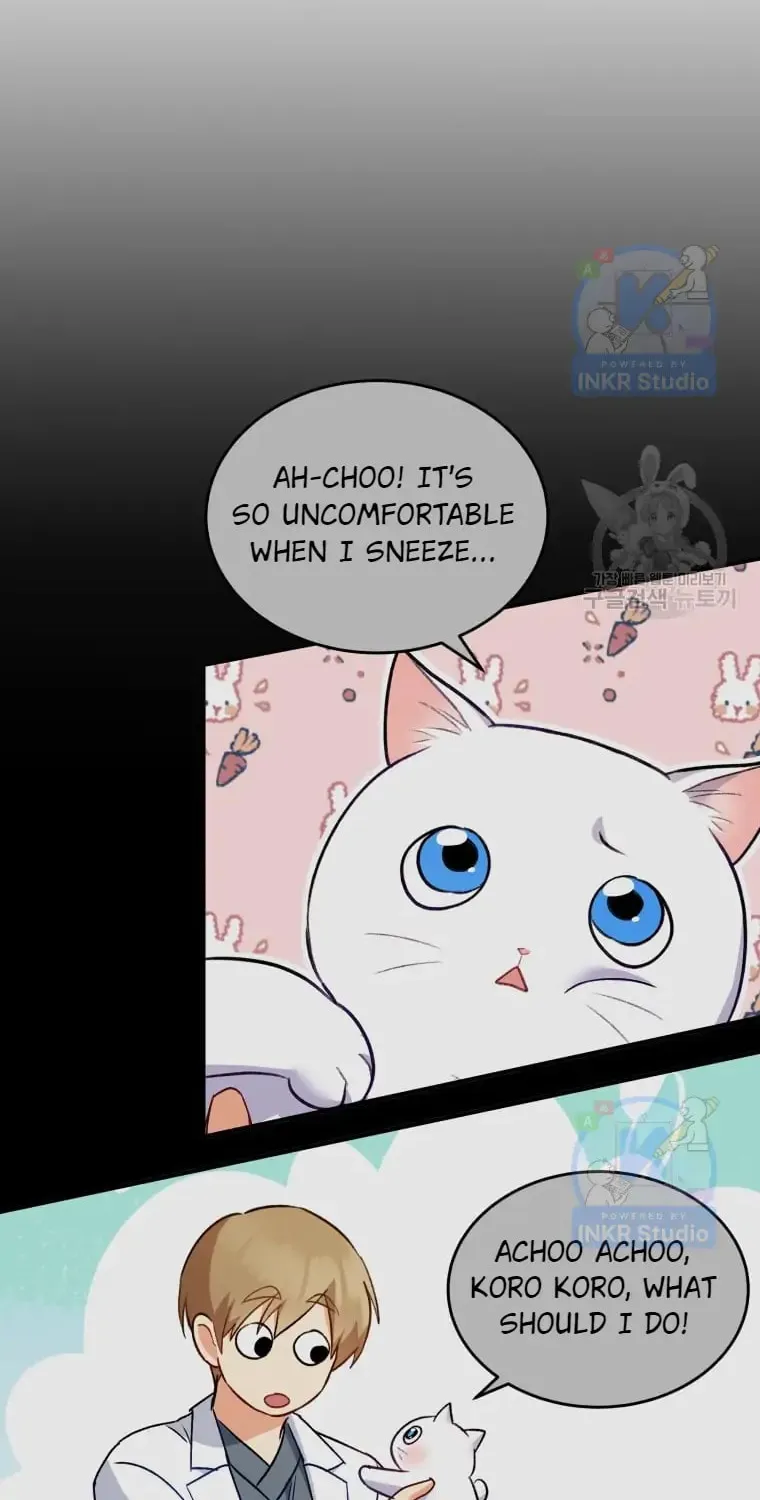 Chapter 5 - Image 18