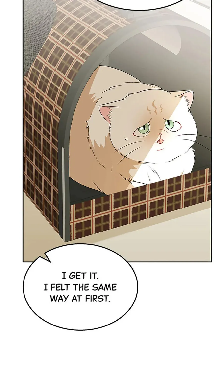 Chapter 54 - Image 133