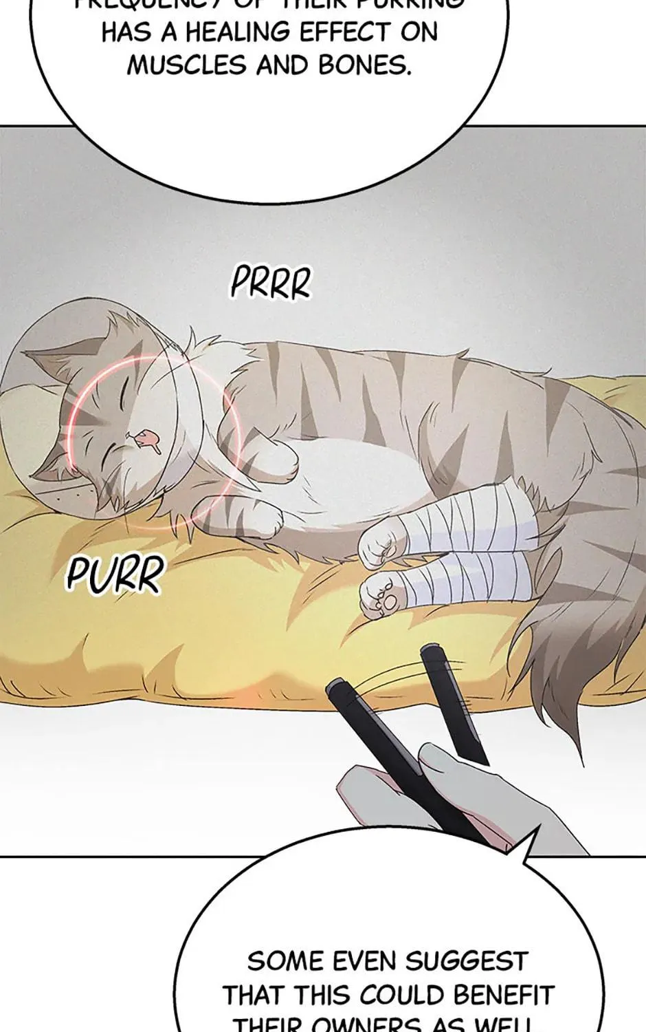 Chapter 62 - Image 11