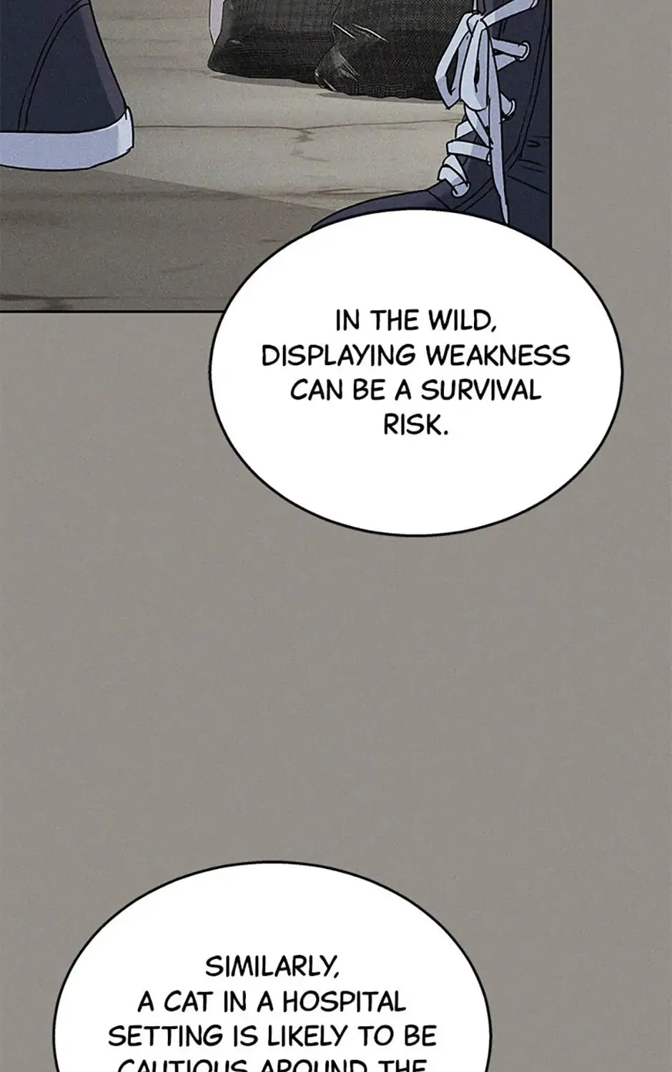 Chapter 62 - Image 45