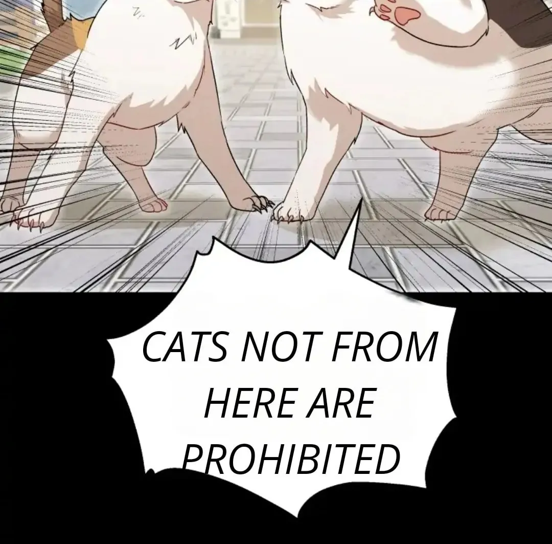 Chapter 7 - Image 47