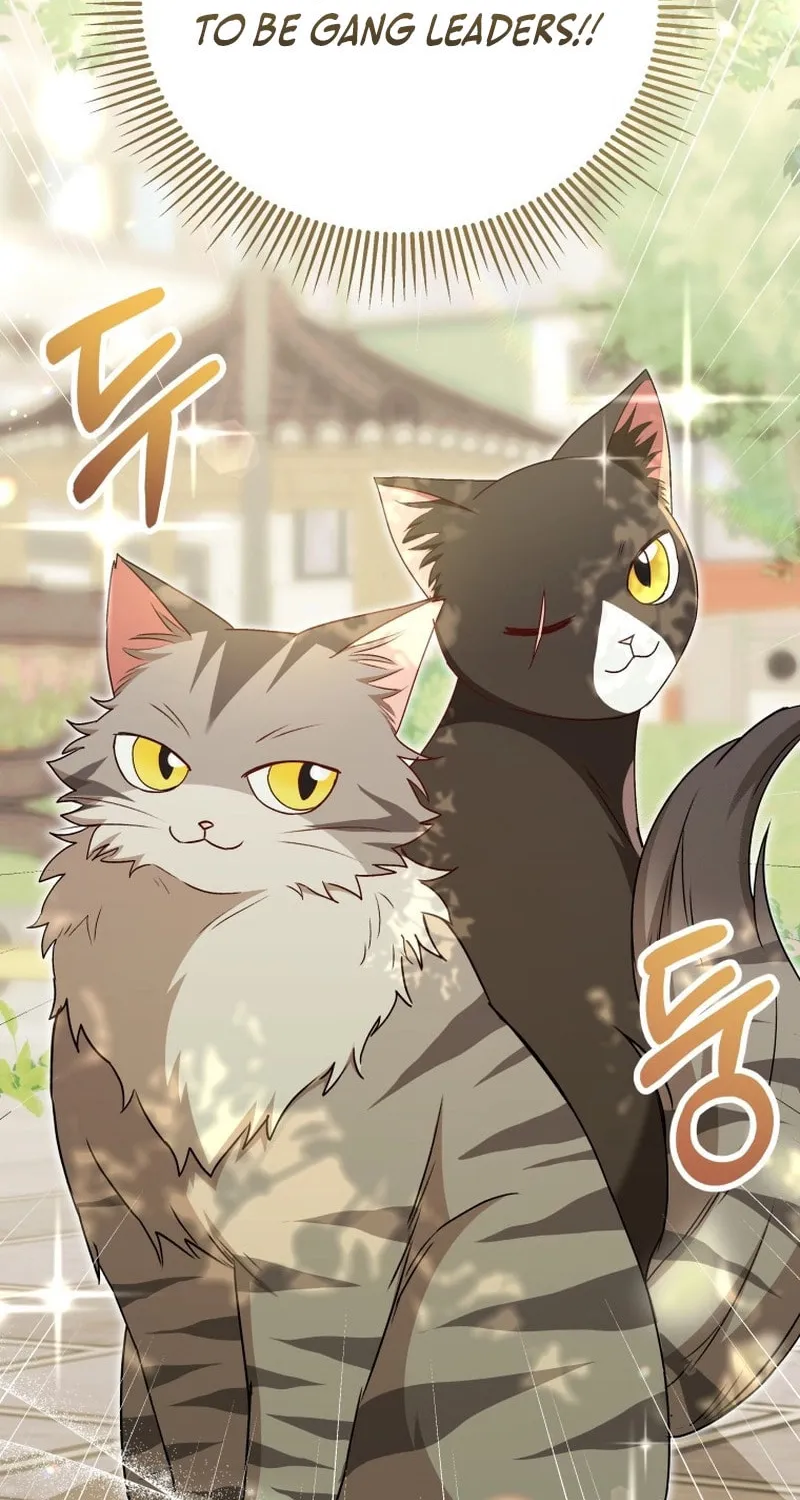 Chapter 75 - Image 51