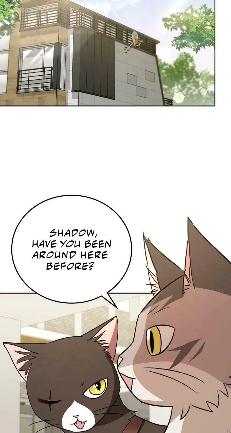 Chapter 76 - Image 34